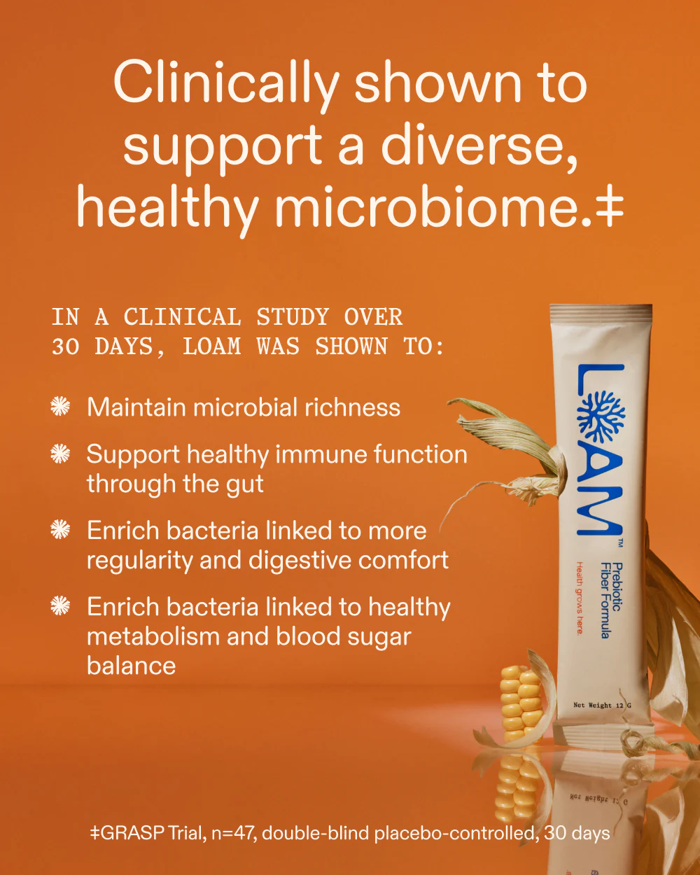 LOAM Prebiotic Fiber Formula - Image 3
